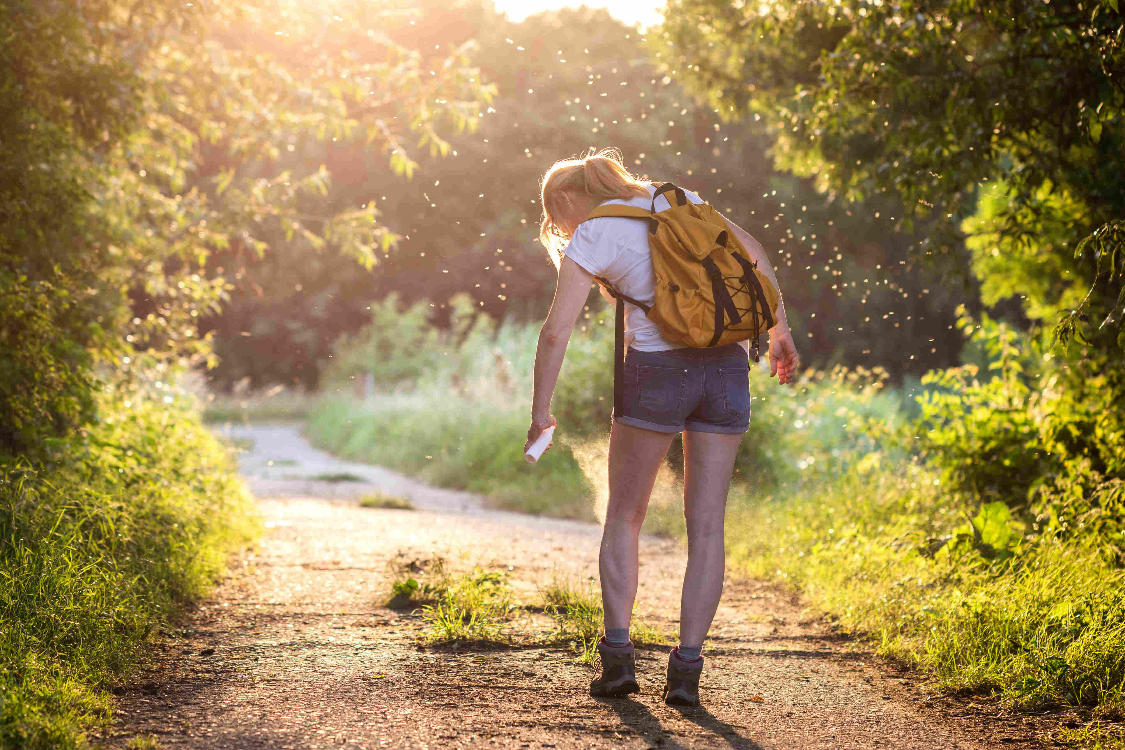 Why Mosquito-Borne Illnesses Are on the Rise — and How to Protect Yourself